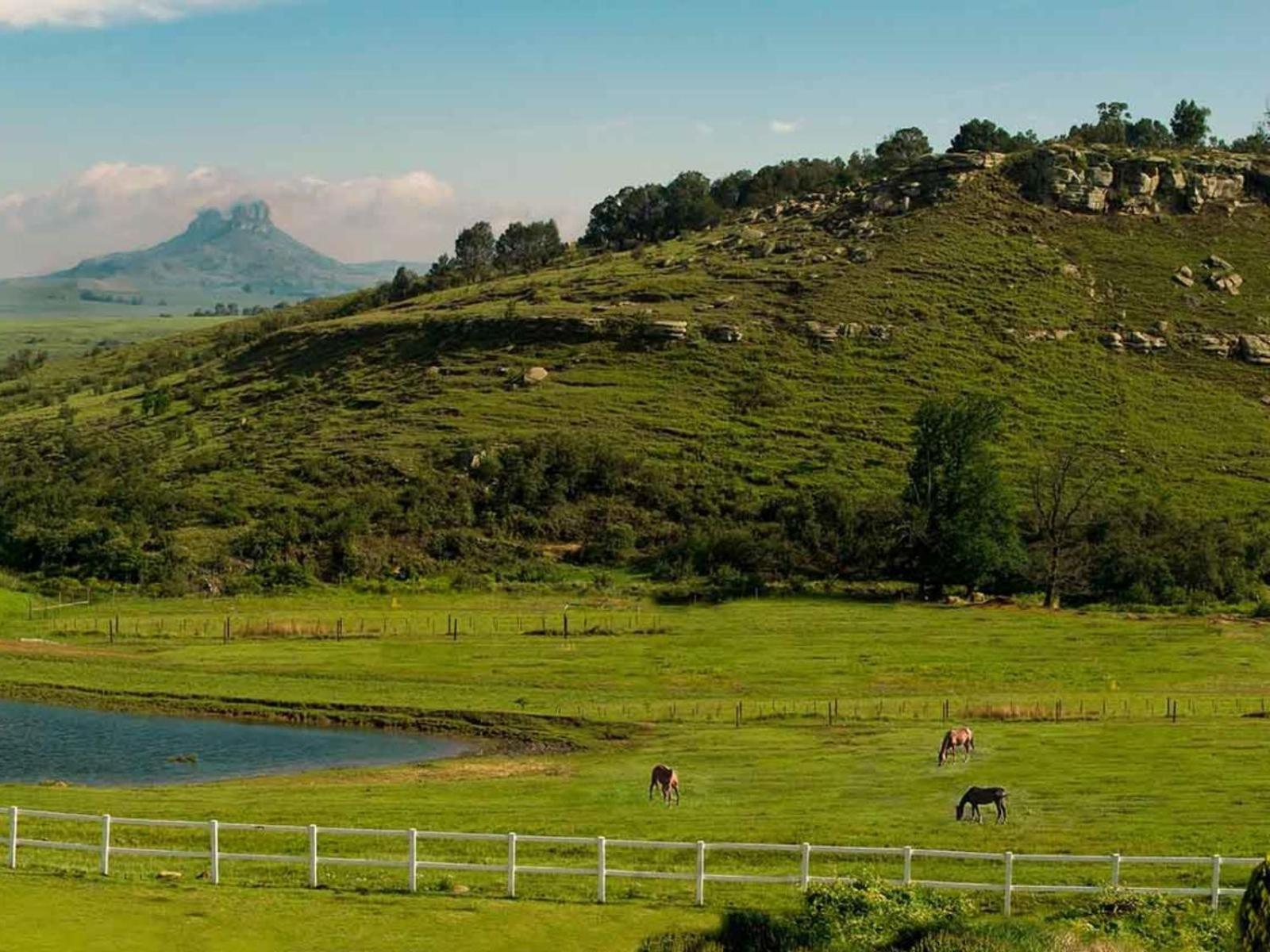 Oaklands Farm Stay Van Reenen Екстер'єр фото